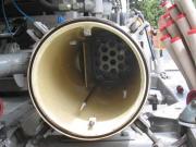 Planta Dorado DIC 11 057